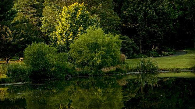 界诠法师：把心安住在佛法上，但就是想玩手机…