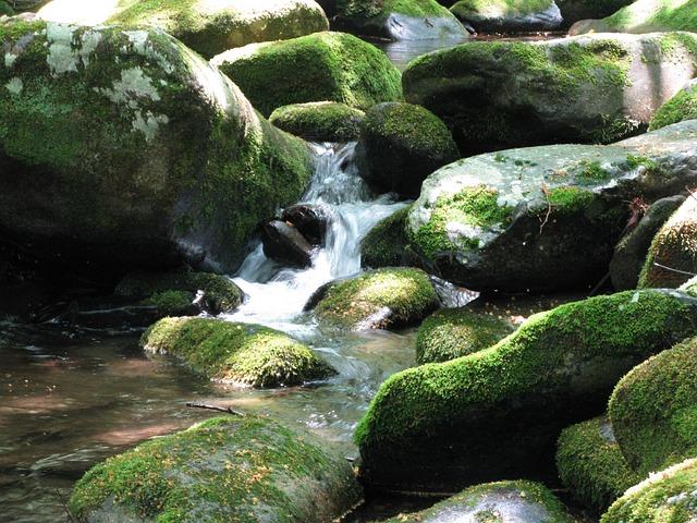 何谓「头陀」