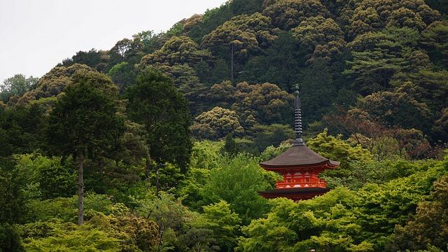 正道大慈悲，出世善根生