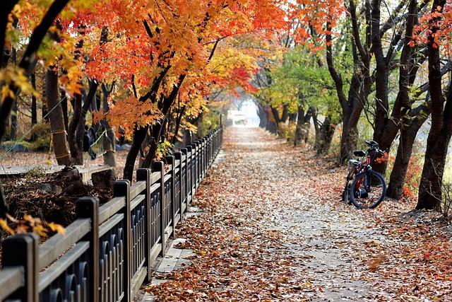 客僧来寺，不可遮食