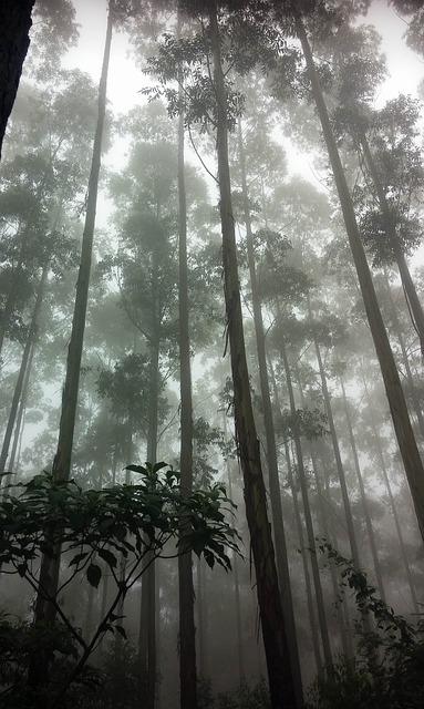 必须要在堕落三恶道前就赶快跳脱三界