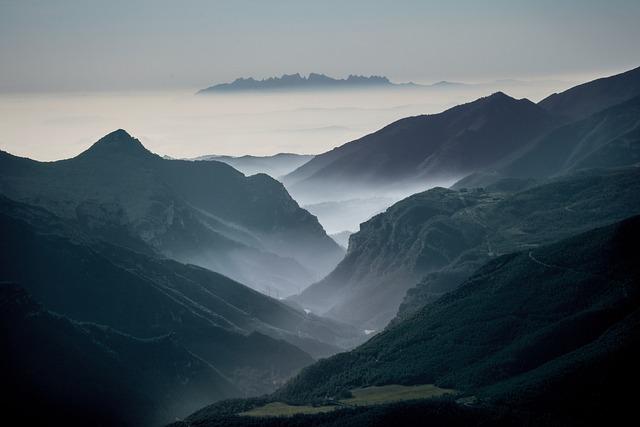 闻钟声，苦痛止